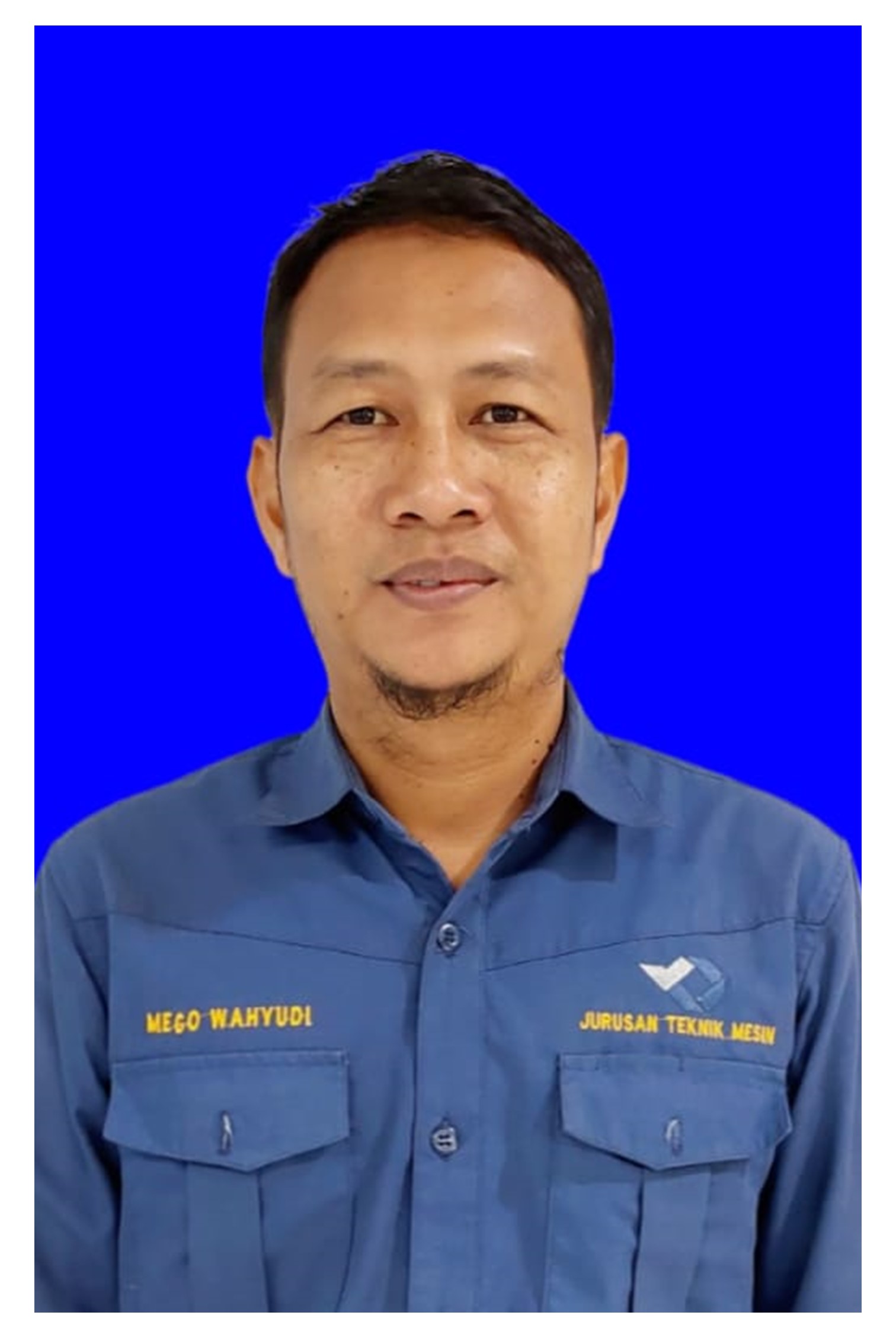 Mego Wahyudi